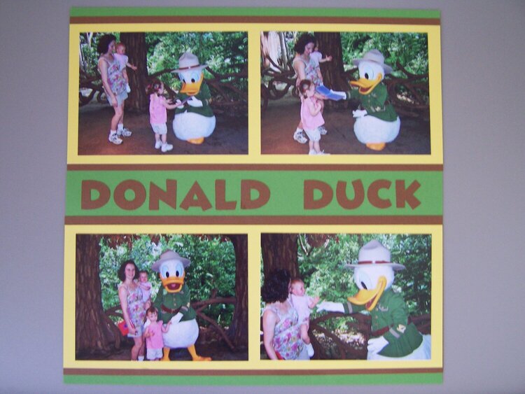 Animal Kingdom Camp Minnie-Mickey Greeting Trails : Donald Duck