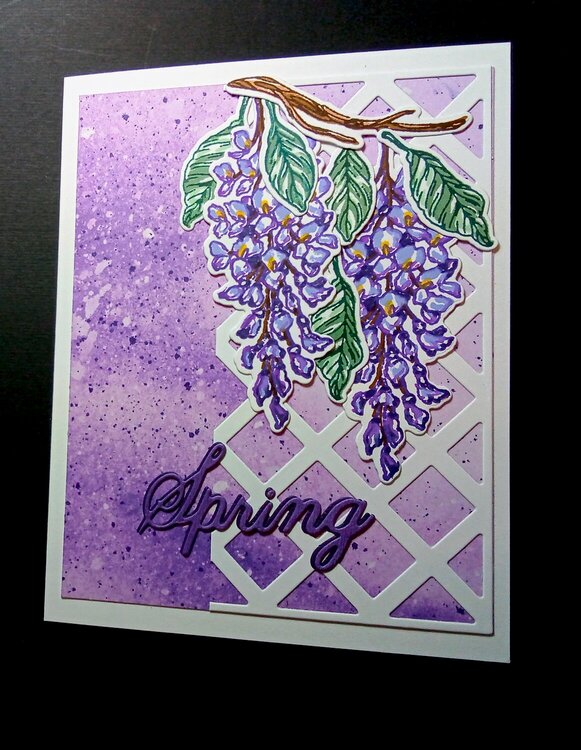 Wisteria Card for Spring