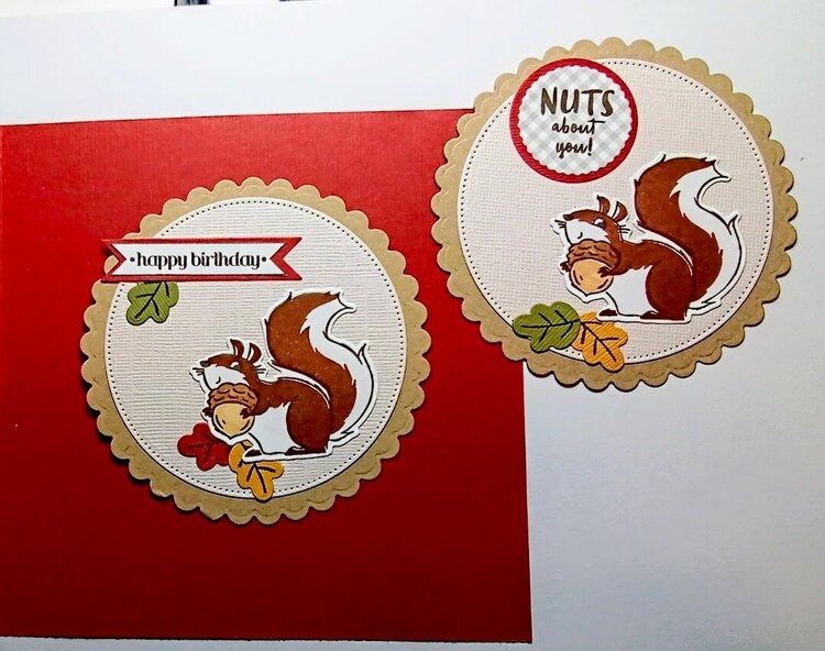 Squirrel Birthday Card
