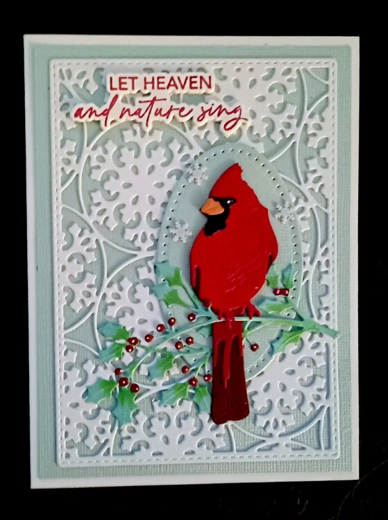 Winter Birds Cardinal Card