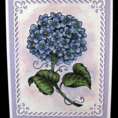 Hydrangea card