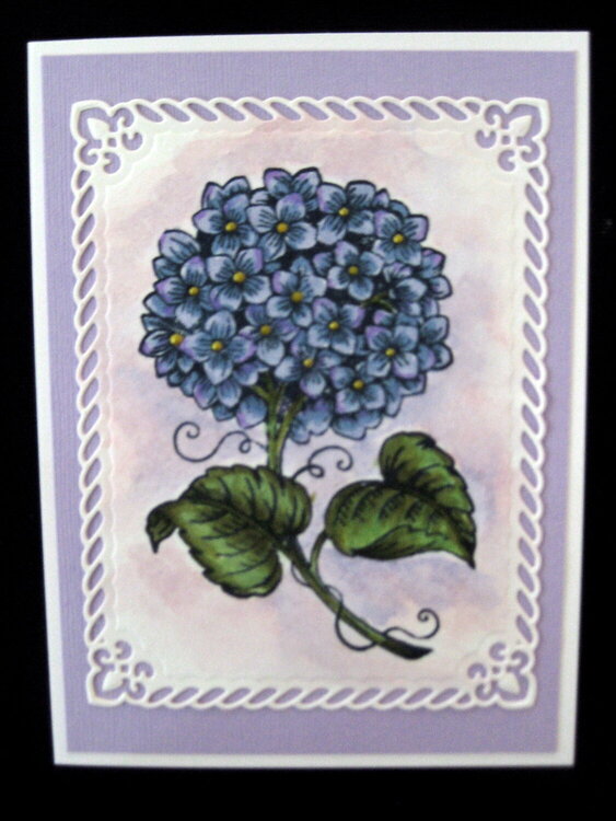 Hydrangea card