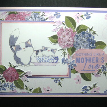 Mothers Day Cat and Kittens