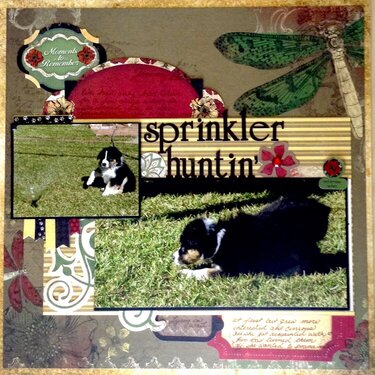 Sprinkler Huntin&#039;
