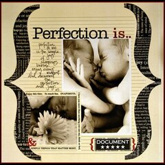 Perfection *Teresa Collins Journal-It*
