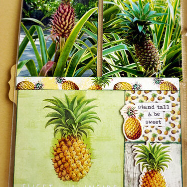 Tropical Pineapples 6x8 Pocket Page Scrapbooking Layout