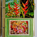 Heliconia and Other Tropical Plants -- 6x8 Scrapbooking Pocket Page Layout