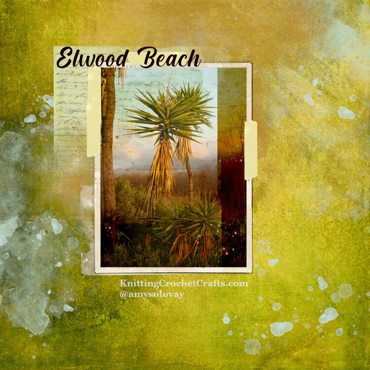 Digital Scrapbooking Layout Featuring Beach and Palm Trees
