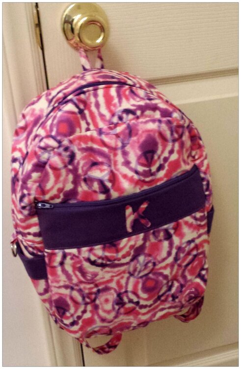 Purple and Pink Backpack