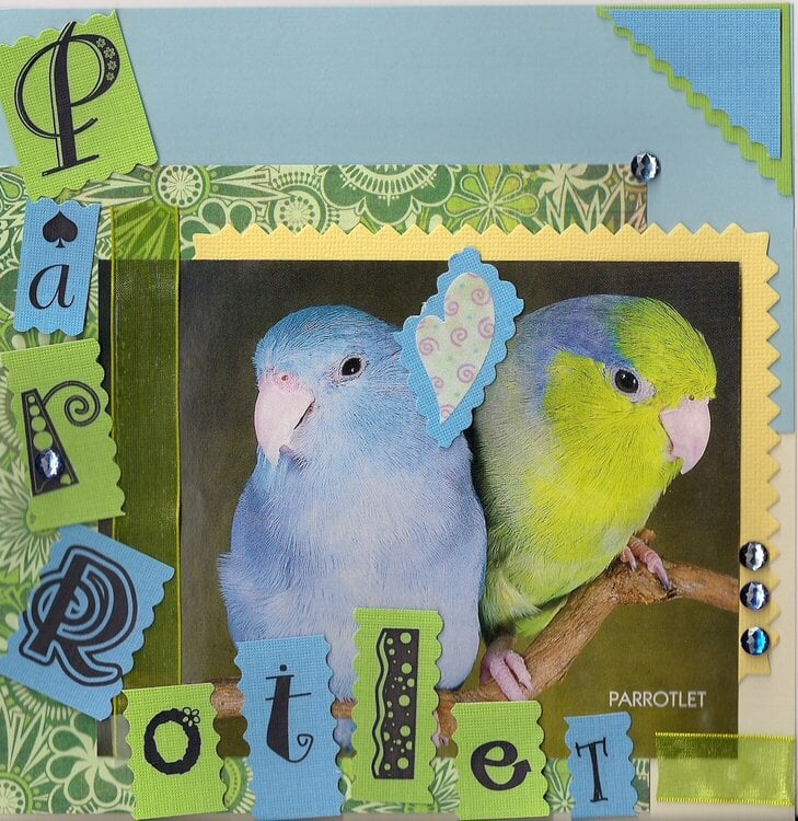 Nov POD Challege - 3. Parrotlet Love