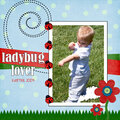 Ladybug lover
