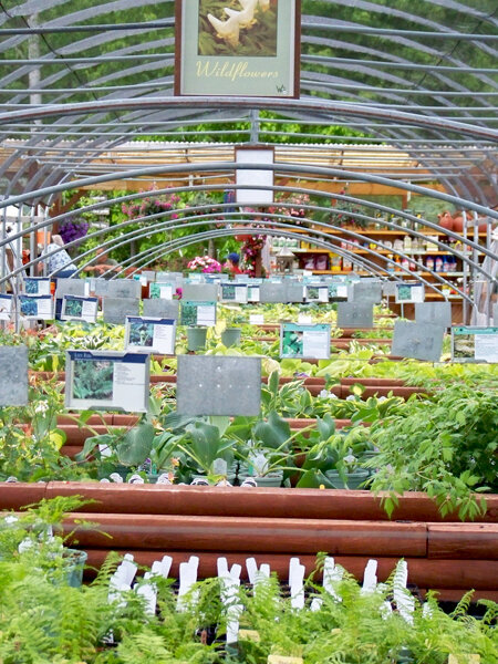 greenhouse enterance
