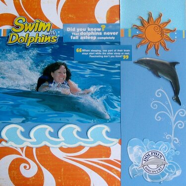 Swim with dolphins