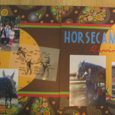 Junior Horsecamp