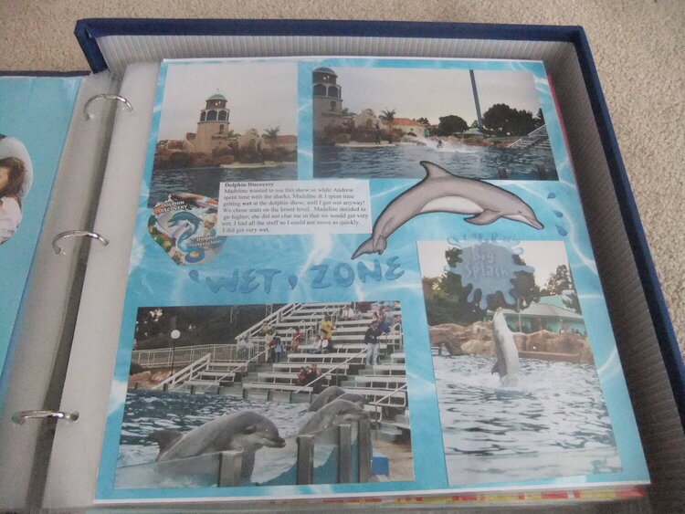 Dolphin Show at Sea World San Diego, CA
