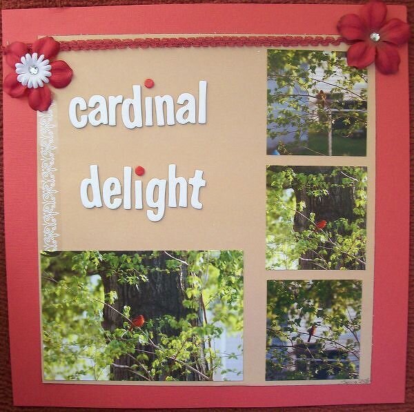 Cardinal Delight