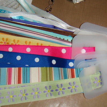 Ribbon Storage #4