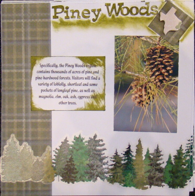 Piney Woods of Texas