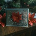 Pointsettia Christmas Card