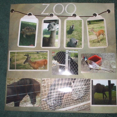 2ond. zoo page