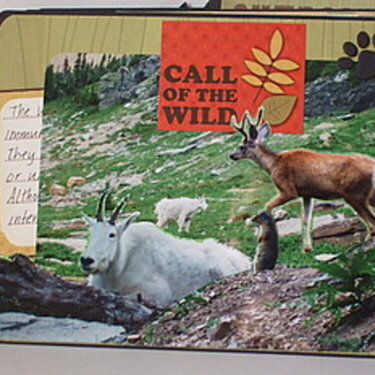 Mr. Campy Mini Album:  Page 9