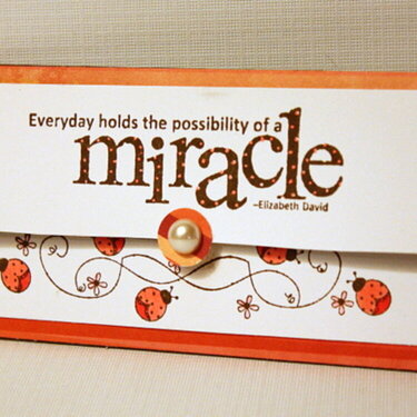 Miracle Wallet Gift Card Holder
