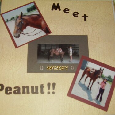 Meet Peanut
