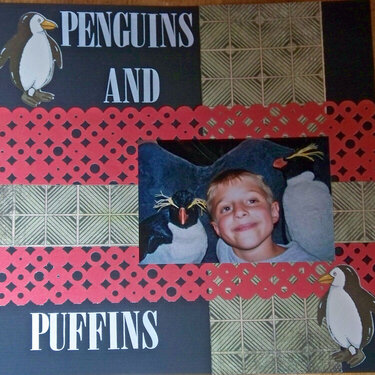 Penguins and Puffins