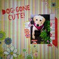 Dog-Gone Cute