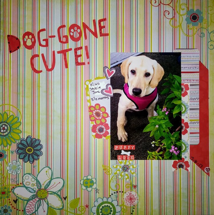 Dog-Gone Cute