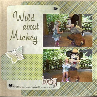 Wild about Mickey