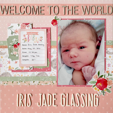 Welcome To The World - Iris