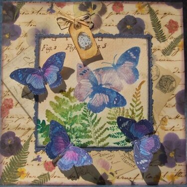 Butterfly Card - Wednesday Stamper