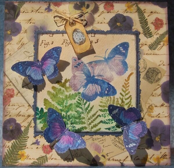 Butterfly Card - Wednesday Stamper