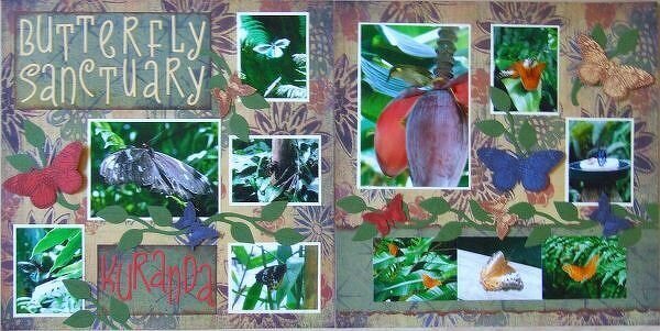 Australia Album - Kuranda Butterfly Sanctuary