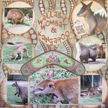 Australia Album - Wallaby. Wombat &amp; Kangaroo