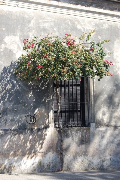 Colonia, Uruguay