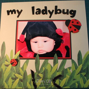 My Ladybug