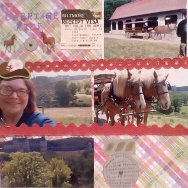 Carriage Ride