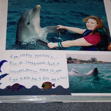 Dolphin excursion
