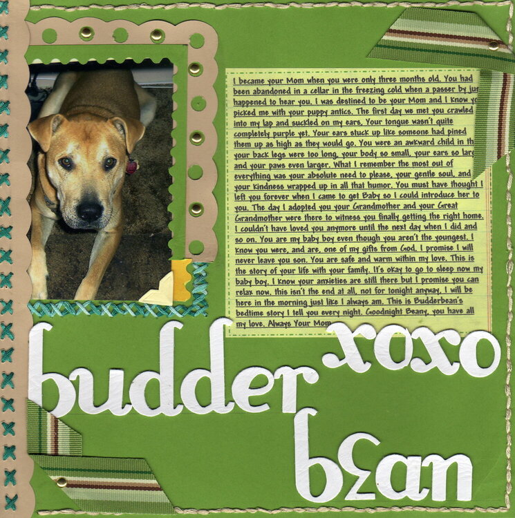 Budder Bean Bedtime Stories