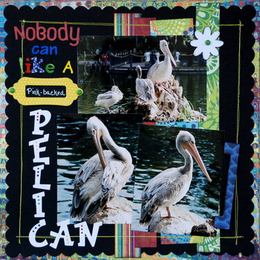 Nobody can like a Pelican