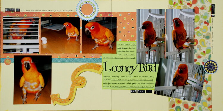 Looney Bird