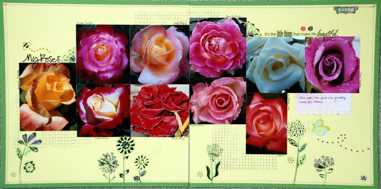 My Roses