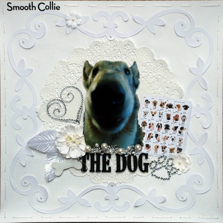 The Dog