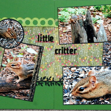 little critter