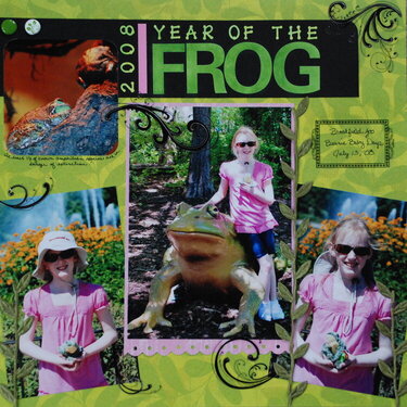 Year of the Frog