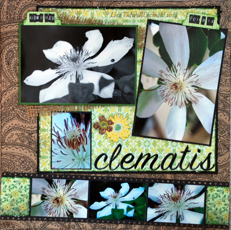 Clematis