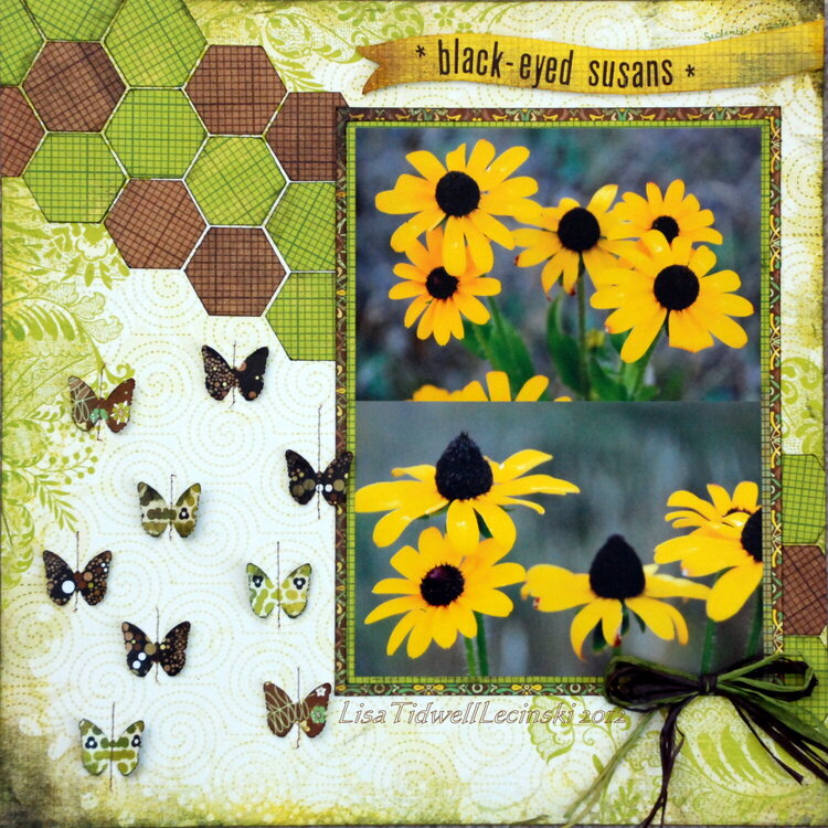 black-eyed susans