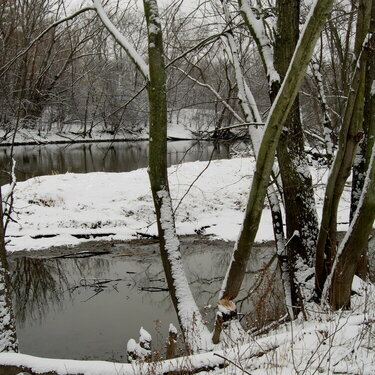 POD Mini #2 Peaceful - Snowy River